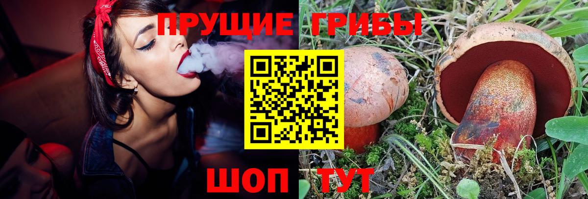 Галлюциногенные грибы прущие грибы Альметьевск